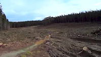 wood hill