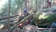 Rock Drop