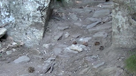 Shimano epic enduro part 2