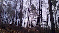 Little Section