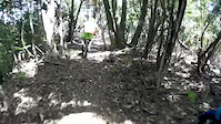 Must Watch Video