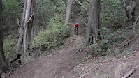 Matipo clips
