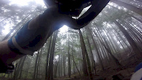 Tower Trail