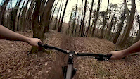 Fenceline