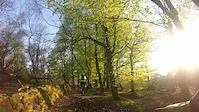 Whinny Hill\Fairy Glen