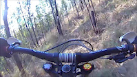 Nuevo Trail