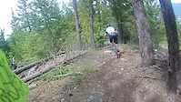 Conkle Mountain Berm trails