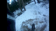 winter early spring...
