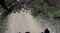 Rock Canyon Edit