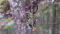 Must Watch Video