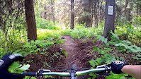 Trail Preview - Drainpipe