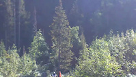 some raw from summer 2015
