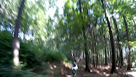 singltrail pod smrkem