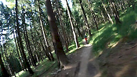 singltrail pod smrkem