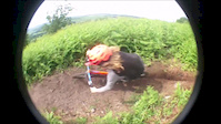 Loam loving