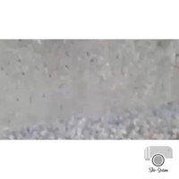 Must Watch Video