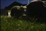 Must Watch Video