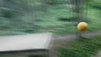 wollibol in dirt park