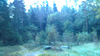 Bålplassen 2