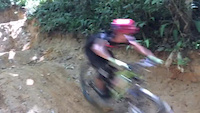 jumping in the jungle
