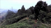 Polygon Collosus N8 Bike Test