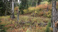 Sovereign Trails - Vernon BC - Sept 2016