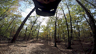 Serpentine Lincoln Woods