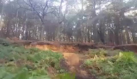 Canford Bombhole Drop Train