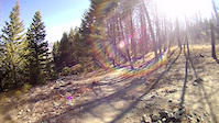 Fox Creek Trail 6 Ketchum, Idaho