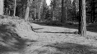 Must Watch Video