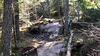 Rocks and wood