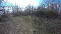 Perfect day