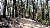 Lady Canning track