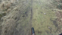 Muddy Badger 2