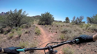 Sedona Scorpion