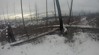 Winter is for Suckers