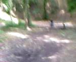 chutes