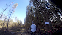 New Lady Cannings trail - Cooking On Gas