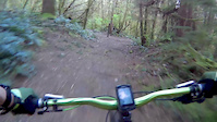 Some Clips from Paradise