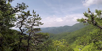 Teaser: Pisgah Enduro Perspectives