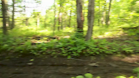 Matt Holmes rips a downhill trail