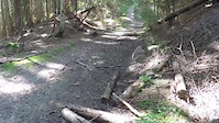 Red Trail P.o.V.