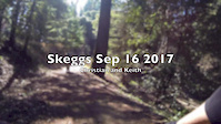 Skaggs