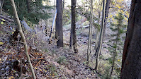 New Sawmill trail