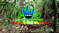 Bahenol Update (SUNDAY Week #4)