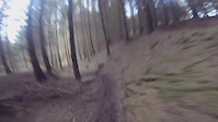 Dalby trail hunting