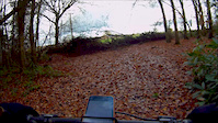 Colin's Rough Loop