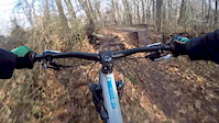 Cunningham shred