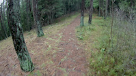 Riding Abandoned 'Downhill' Trails