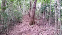 Must Watch Video